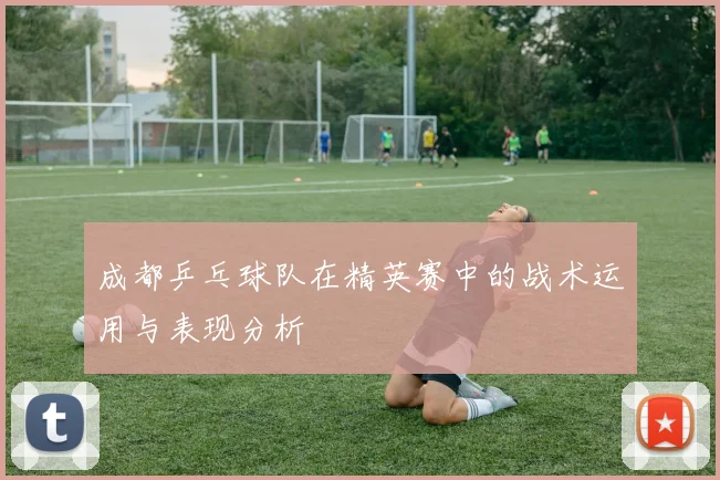 成都乒乓球队在精英赛中的战术运用与表现分析