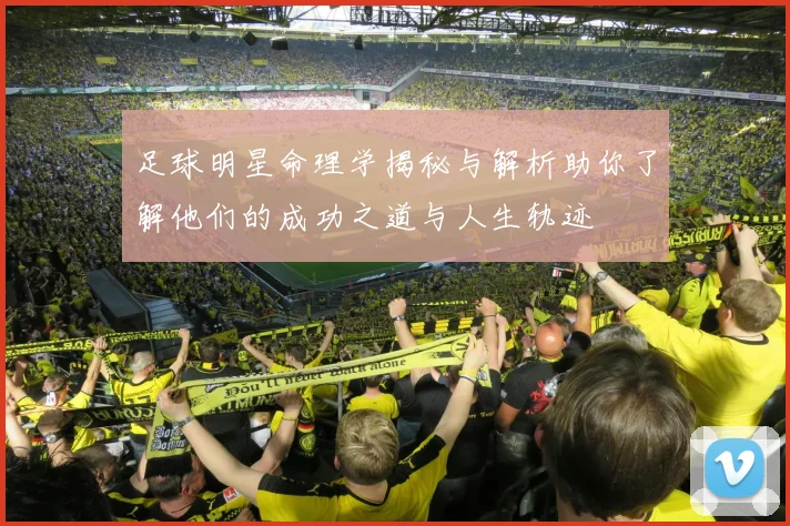 足球明星命理学揭秘与解析助你了解他们的成功之道与人生轨迹