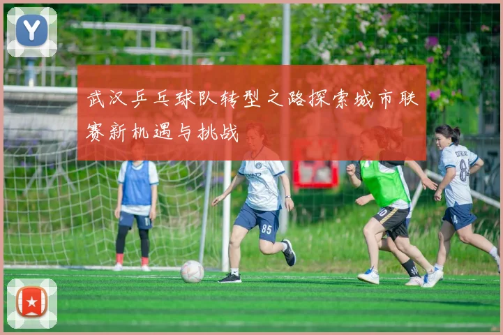 武汉乒乓球队转型之路探索城市联赛新机遇与挑战