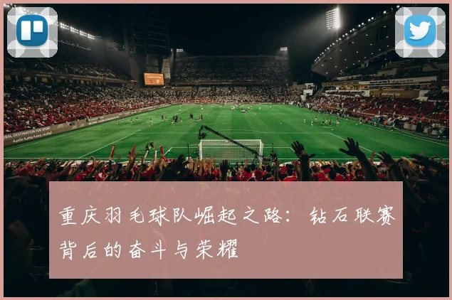 重庆羽毛球队崛起之路：钻石联赛背后的奋斗与荣耀