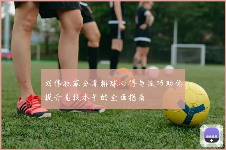 刘伟独家分享排球心得与技巧助你提升竞技水平的全面指南